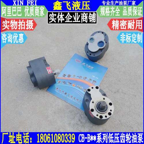 CB-B25THHB32TB4THB5ZJS0THB63THB80THB100TH0B125TH齿轮油泵