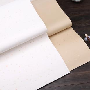 半589生半熟洒描宣纸生宣纸毛笔金法字书创作龙专用纸作品宣纸