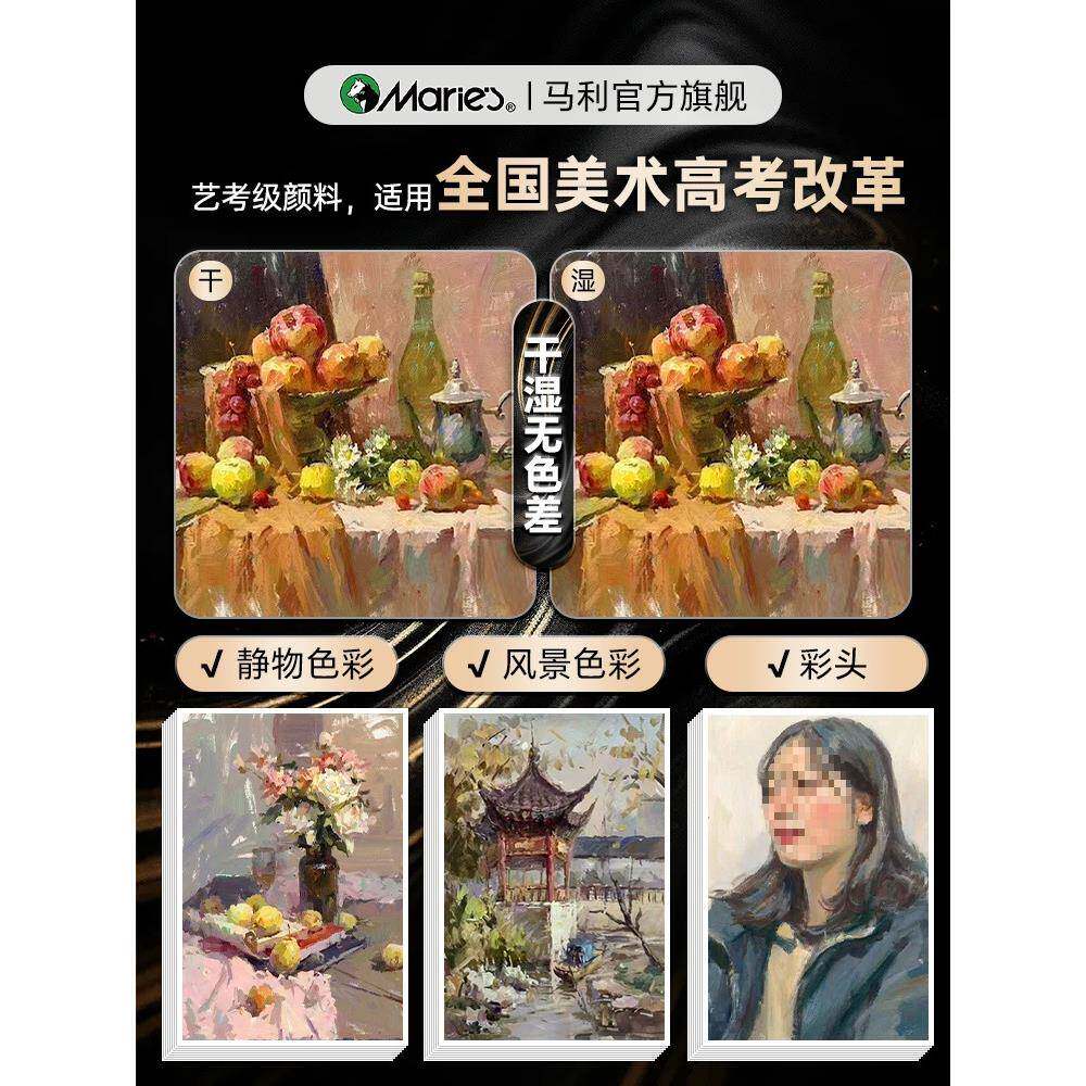 水术粉MDA颜料42色美生考套装策马逐光4色54色果冻色彩颜料白2色