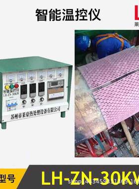 LH-ZN-60ZW-I-30W管件热处理设备低电关压电源开箱电热电器