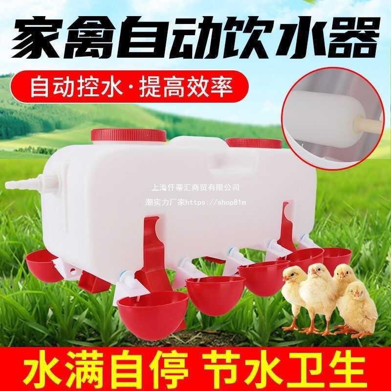 子饮机饮水器水槽LJF养鸡养鸽殖水水壶鸭喂自动家禽芦丁散鸡鸡用