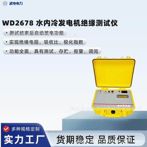 武电电力WD2678水内冷发电机绝缘测试仪测试范围5MΩ～10000MΩ