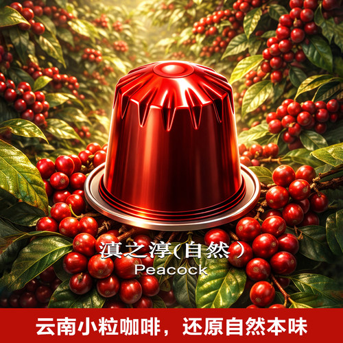 胶囊咖啡兼容Nespresso咖啡机云南咖啡中深烘醇香顺滑滇之淳10粒