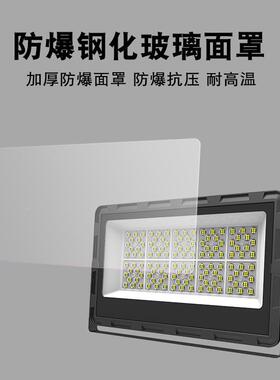 LED投光灯高亮户外泛灯室FLD-FL60外场灯球广高场照明灯杆路光灯