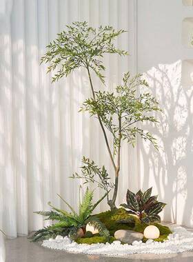 植造景内楼梯下景观植物南KHT天竹绿地盆栽落橱窗室装饰假树摆件