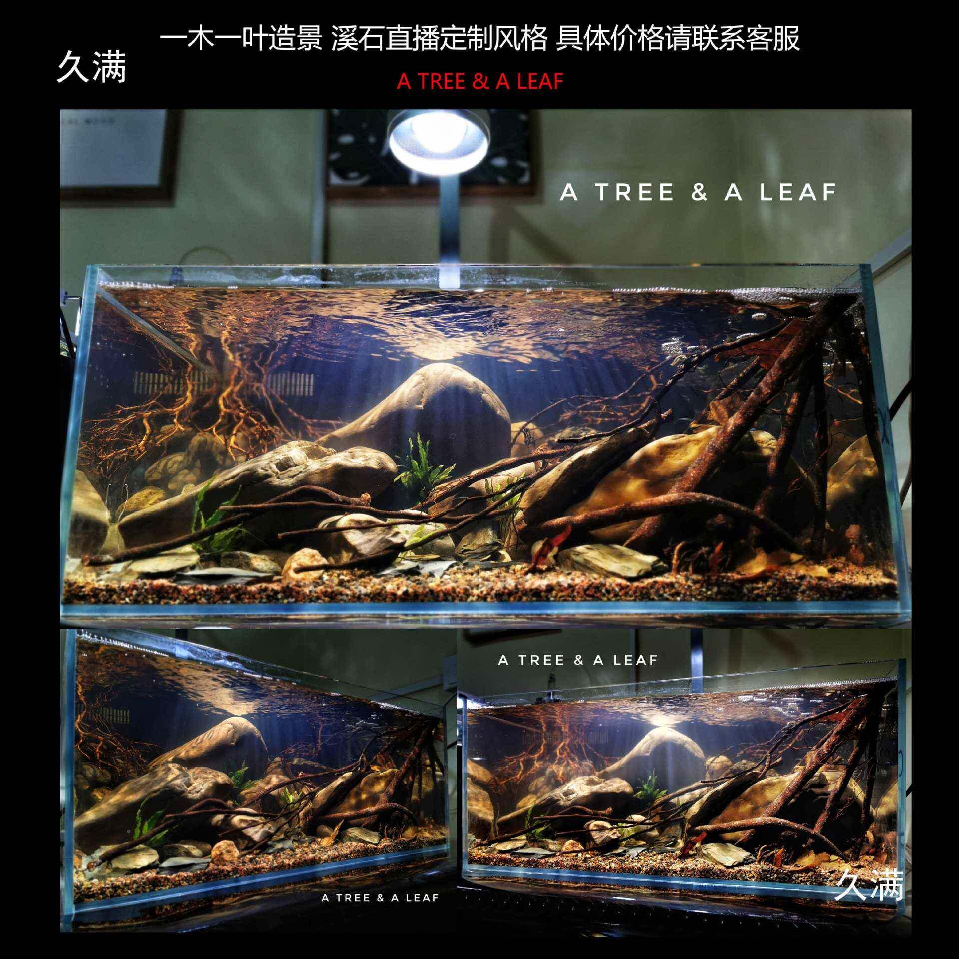 溪石景虾鹅卵石原生虎三湖缸造景缸tfghlznl送藤蔓泰国沉造木