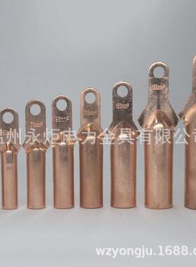 小/头铜鼻子D专T25/61935/50/70/5/120/150185/2490塑壳用铜接线