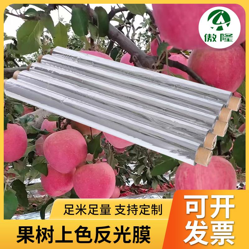 果树反光增色PET镀铝膜农用果园打孔地膜苹果葡萄桃樱桃双面上色