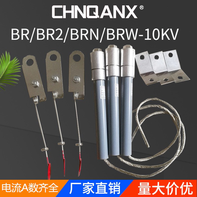黔兴BR2-BRN-BRW-10-12KV/100A高压并联电力电容器保护熔断器