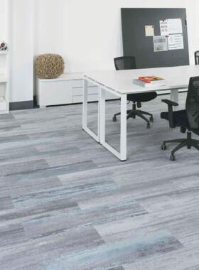 YHYJPQ魔毯王国公室拼接方块地毯尼龙印花vae底背阻燃环保地毯