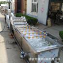 全自動洗菜機 堅固耐用不銹鋼全自動洗果機 蓮藕清洗加工設(shè)備