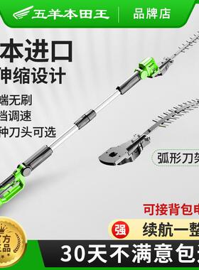 进口电机动长杆高枝修绿篱弧形园绿化林苗木桂花树枝修剪机JPK伸