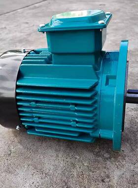 卧电气LCNIE2/IE3/WE3/EW龙直E4/W5/YE4系列三相异步电机厂家供