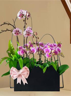 轻意假新中式山蝴蝶兰ASBK1912如花架仿真植物花盆简约奢年宵花盆