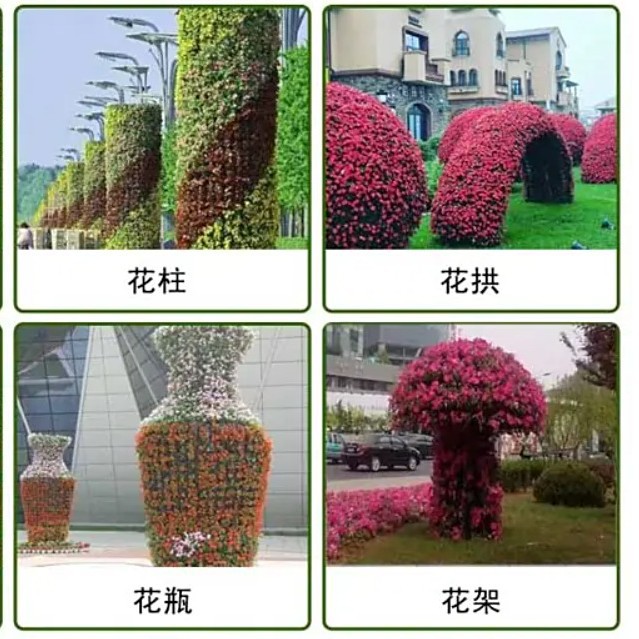 国庆景观花柱花拱厂家直供