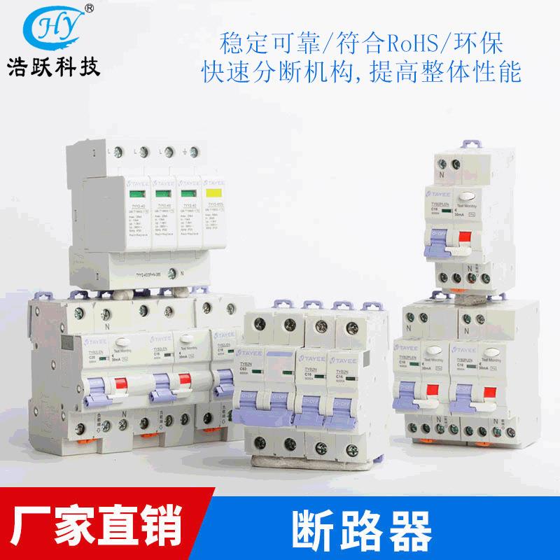 天漏电保护断路器漏电保护开关空气开关器ROO家用断路逸TYB2LE