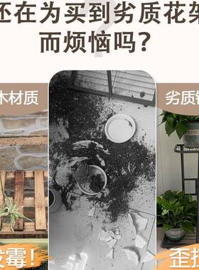 花架置物架阳台客厅落地型实木盆景绿植摆放盆架高端造式花RBP托