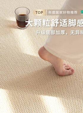 地毯仿剑防麻客新款厅猫抓免洗可擦大面积全铺地棚垫防水fjm23525