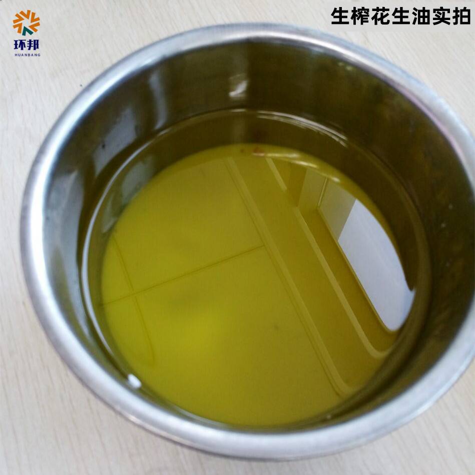 不锈钢螺旋家用小型榨油机冷热双榨全自动花生芝麻核桃商用炸油机