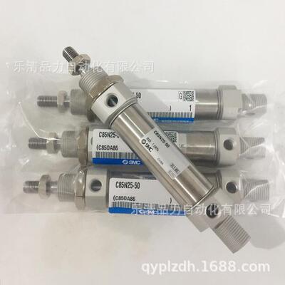 SMC标准气缸85F25-CD8F525-200-225-250-2-75-3003BYP5C0-400-G-B