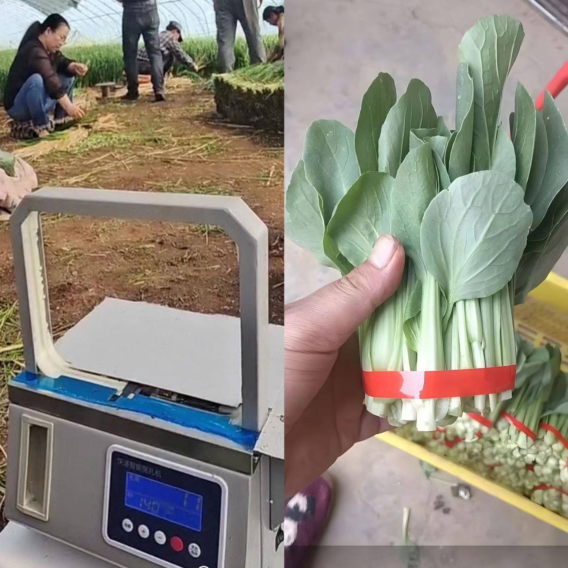 电自动打包捆扎带机手扎提打包机动塑钢捆带收HPO紧一体打包捆绑