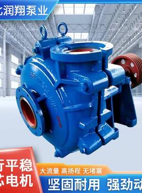 AH数渣浆泵厂渣家砂洗砂分吸沙泵60294矿山煤炭浆泵HH分数浆泵