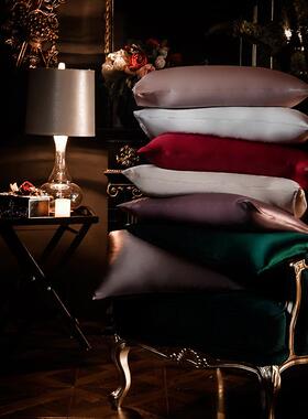 江绫米19姆8双面重磅标准丝枕套桑蚕丝单人枕头ZSZT-01套74x4+15