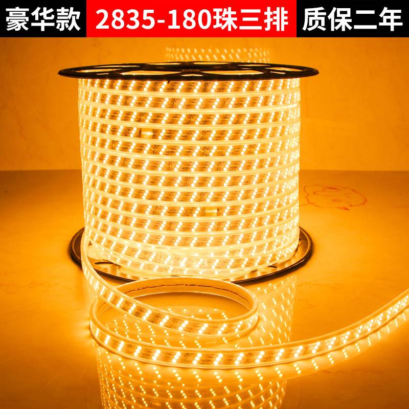 led灯带户外防水工程工地隧道矿井养殖照明客厅高亮灯带条24V-36V