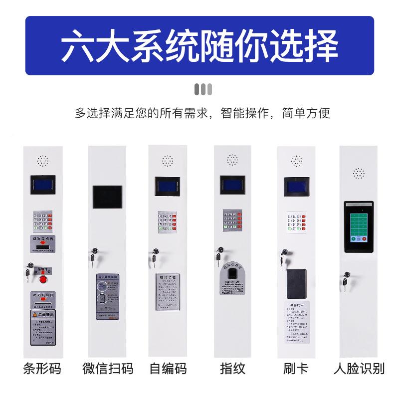智能存包柜GMR寄存柜商场超市用识刷卡条码4人脸2门36门电子别存