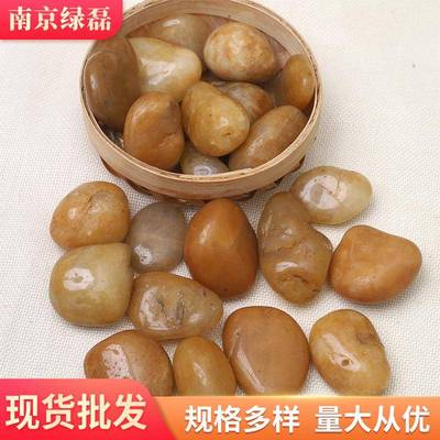 772铺黄色抛光鹅卵石园林景观工程雨花石景头水池垫底鱼缸路造石