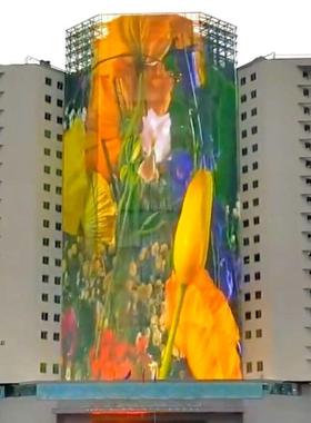 全息屏户外透明RBN高清不柔软影装响采光随意裁剪安LE屏D全息屏