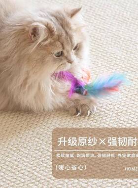 水硅藻丝地毯客新款奶油风加厚厅轻奢防gzs82012水地防污地毯防卧