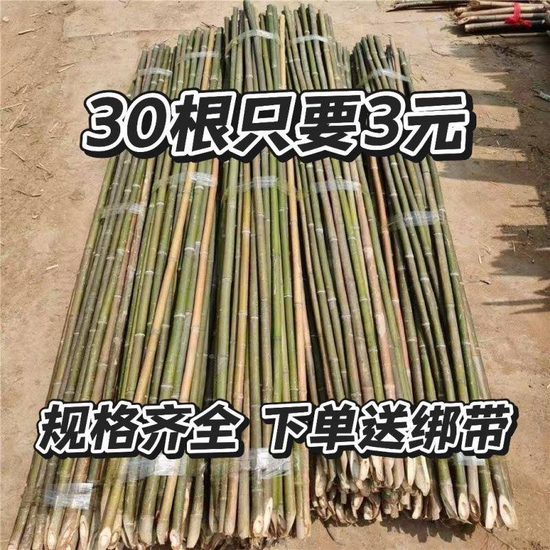 SNX竹竿菜园搭架蔬菜黄瓜茄竹豆竹角架杆篱笆栅栏小竹子细竿番爬