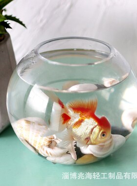 加厚透明圆球玻璃花瓶蓝色客厅插花摆件黑色高级感简约餐厅装饰