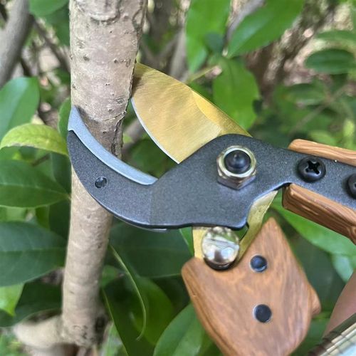 木纹修枝剪粗枝省力修枝剪防滑柄锋利不锈钢果园剪园林剪厂家