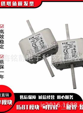 1700M617170M611817M611巴斯曼11970M6120巴斯曼保险丝170M012612