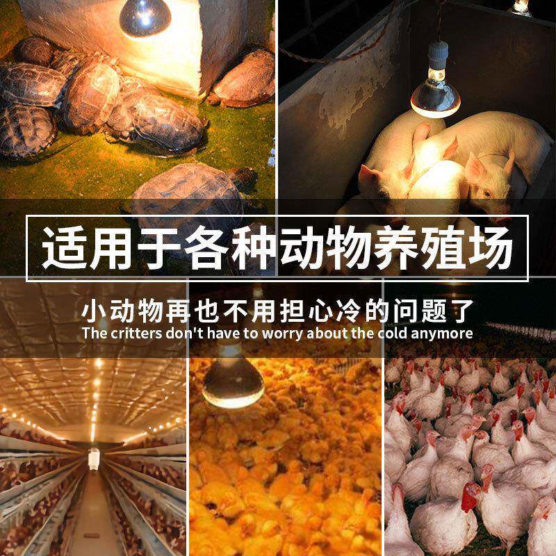 灯红外线暖灯仔猪红外线泡取灯畜牧保温灯泡养保殖无场暖专用保暖