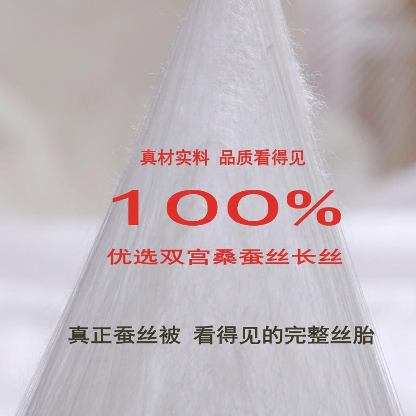 2025新秋冬童被4支斜纹款卡儿通蚕丝床品幼BNO儿园午睡四0季蚕丝