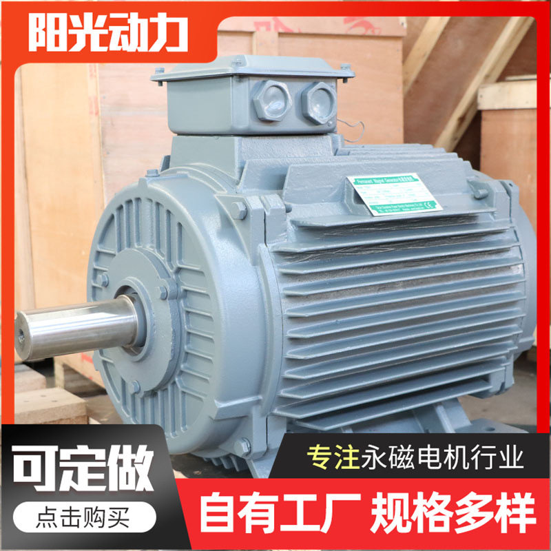 厂家直销250KW海洋潮汐能发电机 海上风力水力发电设备永磁发电机