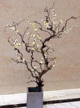 仿真梅花树天然悬造型梅关花树龙枣树形花梅树玄摆G048件家居挂装