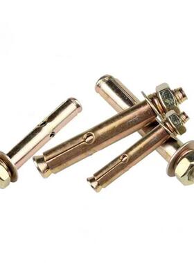 国20厘镀彩锌膨胀丝螺外膨胀螺栓拉标爆爆炸螺钉CZI膨胀管M铁20