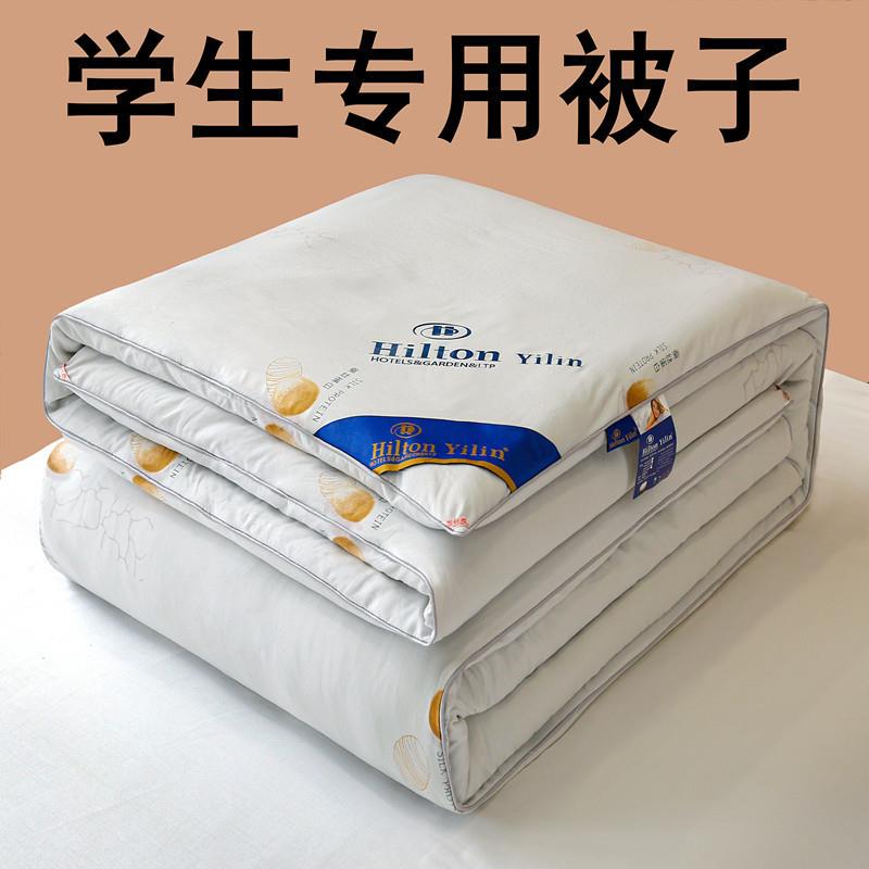 A类生被学桑子蚕丝被100ly101021蚕丝被子冬被棉被春被宿舍被芯四