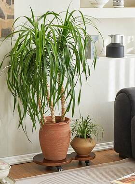 实花盆可移动托盘加木厚底向座万带刹车静音滚轮鱼XTH缸轮底座花