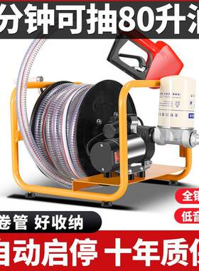 v24车载10泵2v22抽油伏自BAS泵吸小型电动抽油v加油泵加油机柴油