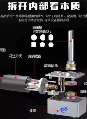 58420-直31ZY涡轮杆微型永磁流减蜗速电机5112V12转MM长轴调速马