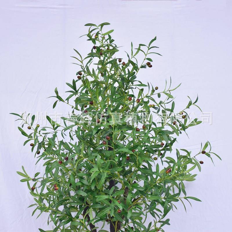 厂家832橄仿真橄榄树盆栽室内摆件饰装仿真植物绿仿真植榄树