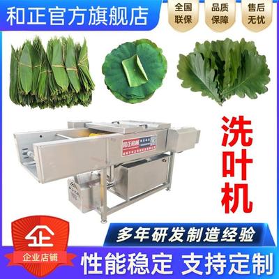 荷叶粽叶清洗设备山菜清洗机全自动洗粽叶机器蒸煮粽子设备