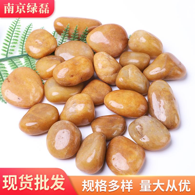 鹅卵石雨花小石原石缸花盆鹅软石石子鱼OFL庭装饰园院艺黄色石头