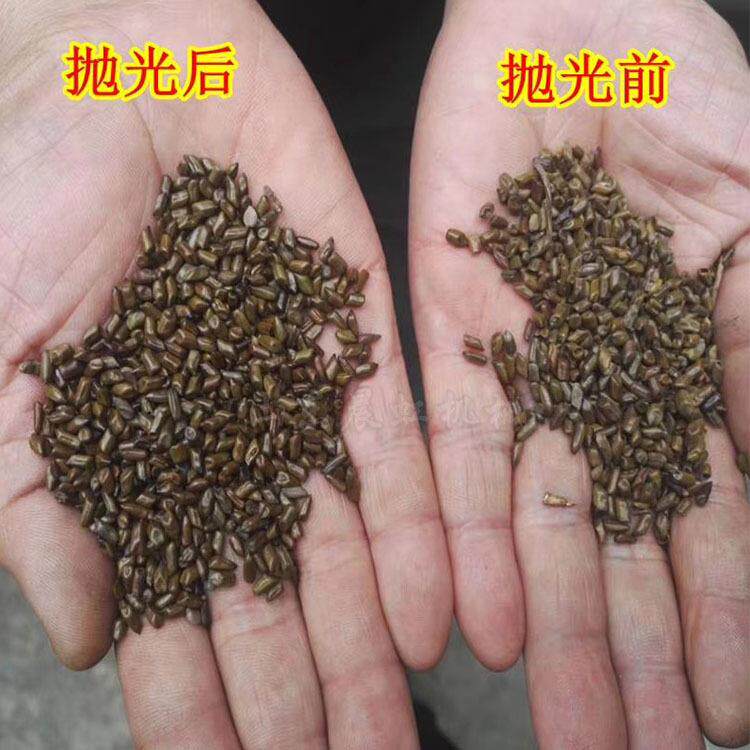 发霉电动食粮抛米RLV光机粮红豆大抛粮机五谷杂粮洗机