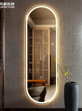 现代能试智衣镜eYSJ-0027d更衣镜壁带灯挂镜子贴墙全l身穿衣镜玄